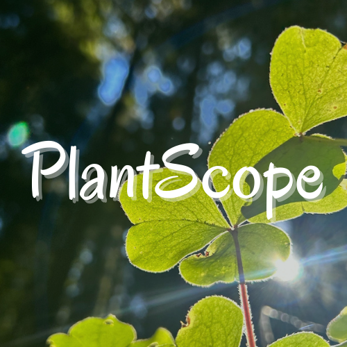 PlantScope project